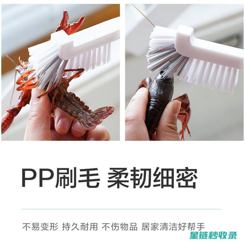 榨汁机清洁方法：简单几步轻松搞定 (榨汁机清洁方法有哪些)